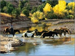 Tim Cox - Fresh Mounts