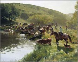 Don Crowley - Water in the Draw