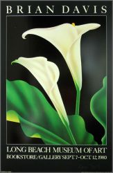 Brian Davis - Long Beach