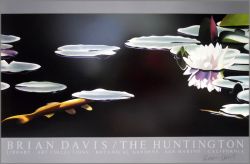 Brian Davis - Huntington Museum - Water Lily