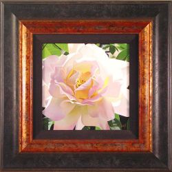 Brian Davis - Single Pristine Rose - Museum Miniature