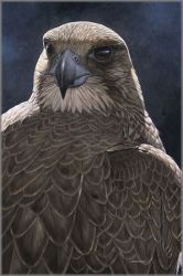 John Dawson - Looking Back