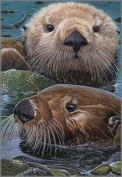 John Dawson - Otter Wise