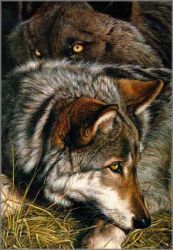 John Dawson - Taking a Break