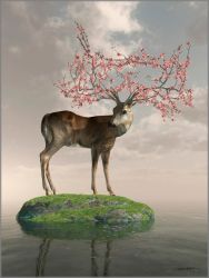 Cynthia Decker - Guardian of the Spring