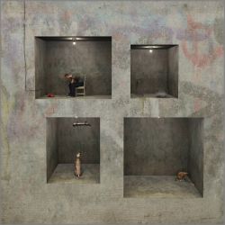 Cynthia Decker - Regarding Desire