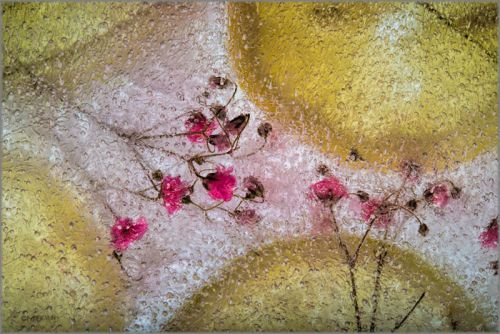 Mo Devlin - Lemon Wheels on Baby's Breath