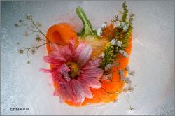 Mo Devlin - Petals on Pepper