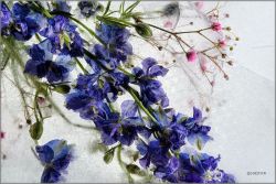 Mo Devlin - Thin Slice of Purple