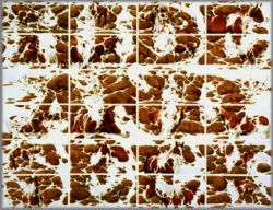 Bev Doolittle - Hide and Seek