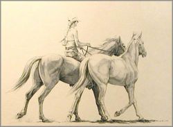 Bev Doolittle - Bareback