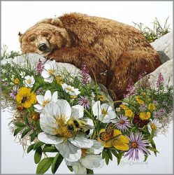 Bev Doolittle - Where Silence Speaks - Bugged Bear