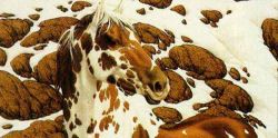 Bev Doolittle - Hide and Seek - mini-1C Bev Doolittle - Hide and Seek - mini-1C