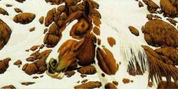 Bev Doolittle - Hide and Seek - mini-2A Bev Doolittle - Hide and Seek - mini-2A