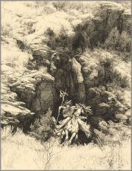 Bev Doolittle - Powers of One Bev Doolittle - Powers of One