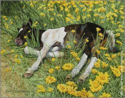 Bev Doolittle - Spring Break