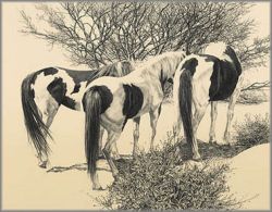 Bev Doolittle - Subcommittee