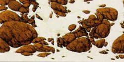 Bev Doolittle - Hide and Seek - mini-6B Bev Doolittle - Hide and Seek - mini-6B