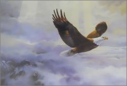 Mario Fernandez - Rise of the Storm