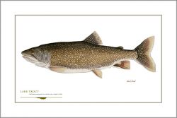 Flick Ford - Lake Trout
