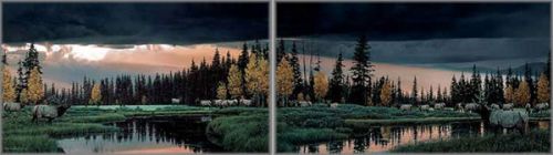 Rod Frederick - Before the Storm