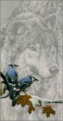 Rod Frederick - Jaywalkers