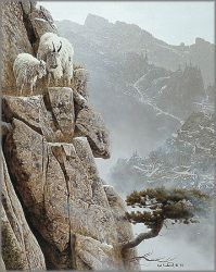 Rod Frederick - Misty Morning Lookout