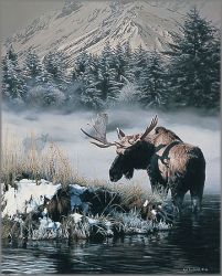 Rod Frederick - Northern Light