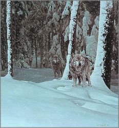 Rod Frederick - Sounds of Twilight