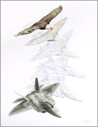 Jody Fulks Sjogren - Metamorphosis VII: Dominant Raptor