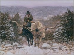 Ragan Gennusa - Climbing through the Cold