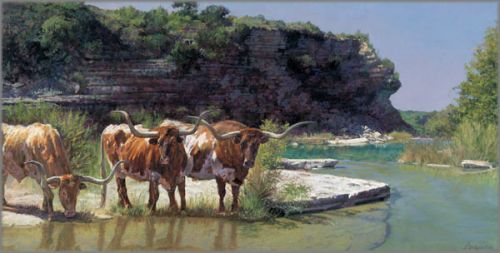 Ragan Gennusa - Cold Creek Canyon