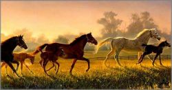 Nancy Glazier - Brand New Hope, A