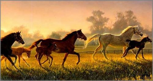 Nancy Glazier - Brand New Hope, A