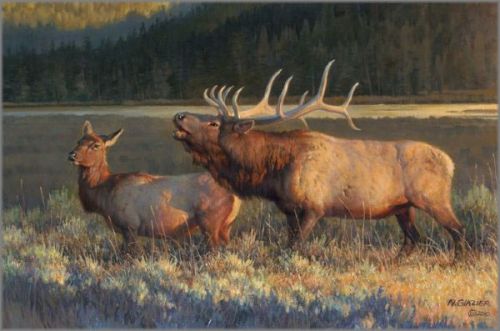 Nancy Glazier - Evening Light