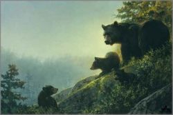 Nancy Glazier - Misty Morn