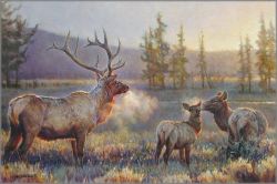 Nancy Glazier - Morning