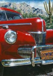 Nancy Graham - Domino Goes to Arizona