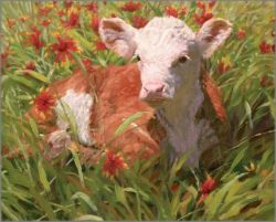 Bruce Greene - Under the Indian Blanket