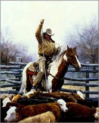 Martin Grelle - Expert, The