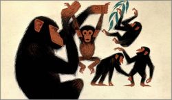 Charley Harper - Chimpnastics