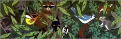 Charley Harper - Forest Friends