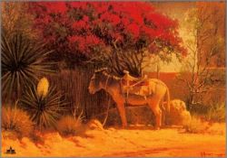 G. Harvey - Flowers of Ixtapan