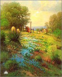 G. Harvey - Hill Country Spring