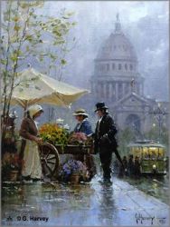 G. Harvey - Senator, The