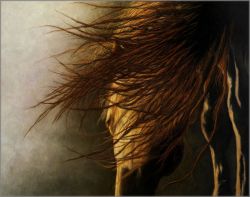 Erica Hopper - Tejas