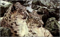 Alan Hunt - High Country Romance