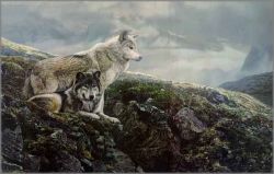 Terry Isaac - Above the Timberline