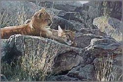 Terry Isaac - Afternoon Light - Young Cougars
