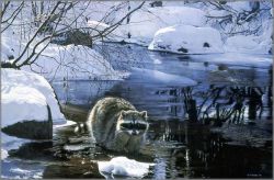 Terry Isaac - Cool Pause